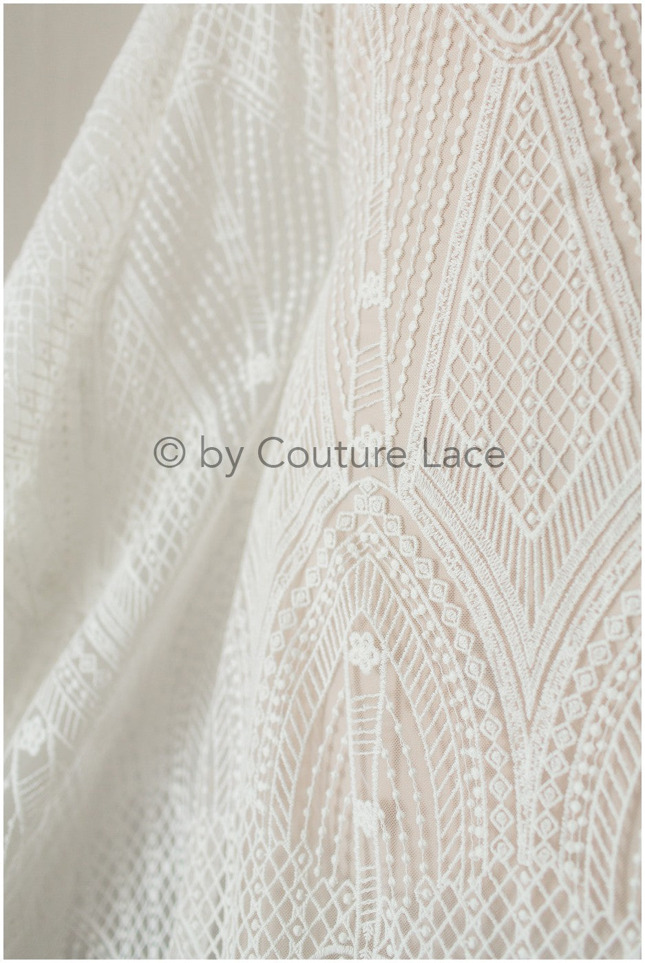 Französische florale Spitze/ Raschelspitze für die Braut/ französische Schleierspitze/ Chanitilly-Spitze für die Braut/ Boho-Spitzenstoff für die Braut // L19-247