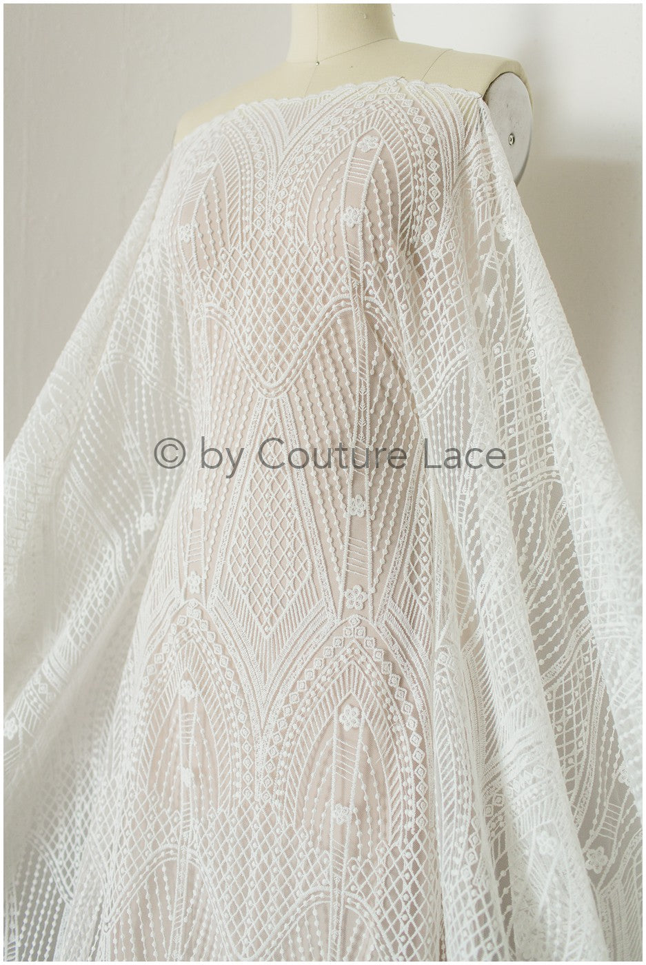 Französische florale Spitze/ Raschelspitze für die Braut/ französische Schleierspitze/ Chanitilly-Spitze für die Braut/ Boho-Spitzenstoff für die Braut // L19-247