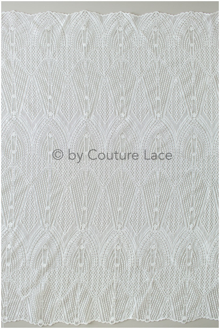 Französische florale Spitze/ Raschelspitze für die Braut/ französische Schleierspitze/ Chanitilly-Spitze für die Braut/ Boho-Spitzenstoff für die Braut // L19-247