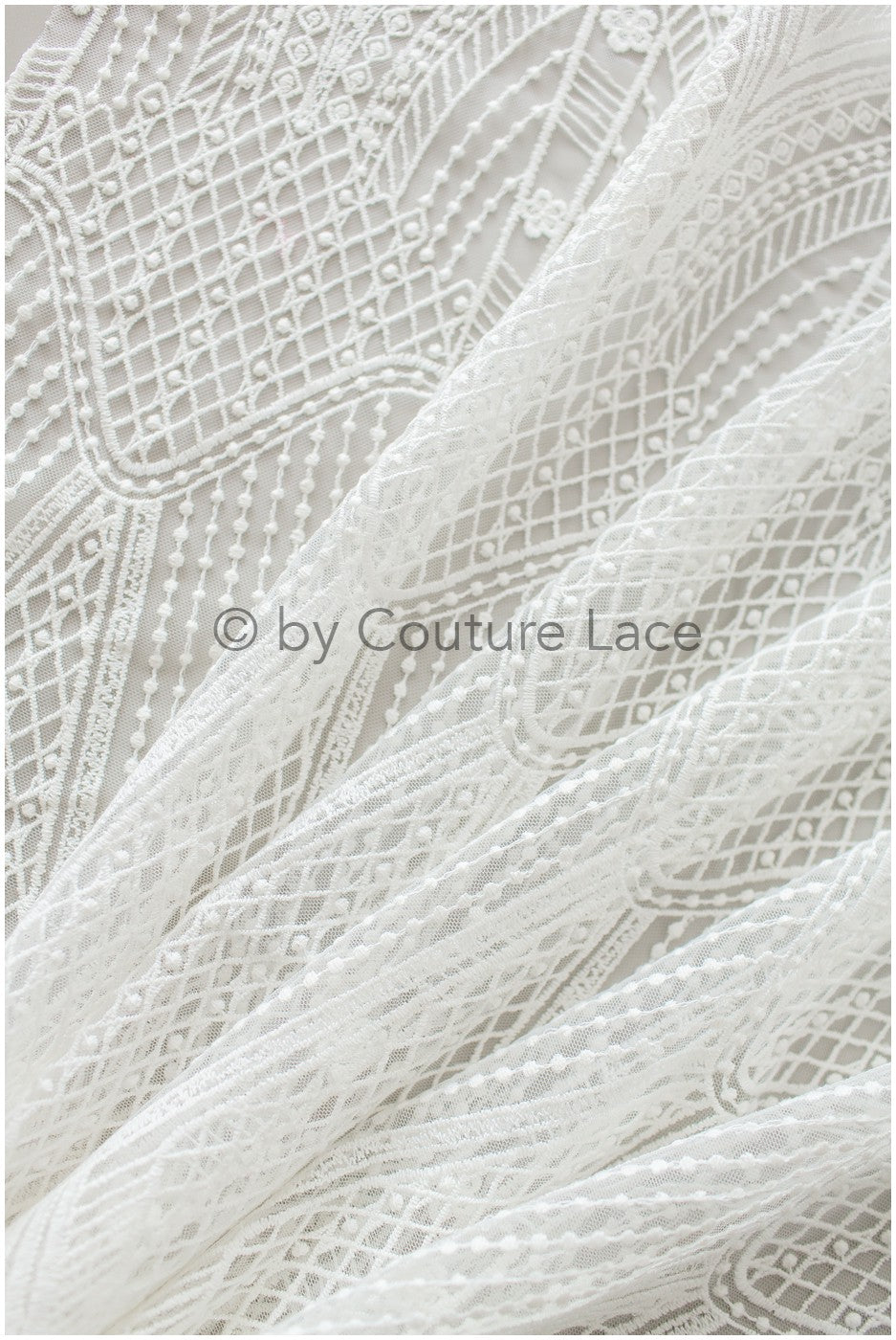 Französische florale Spitze/ Raschelspitze für die Braut/ französische Schleierspitze/ Chanitilly-Spitze für die Braut/ Boho-Spitzenstoff für die Braut // L19-247