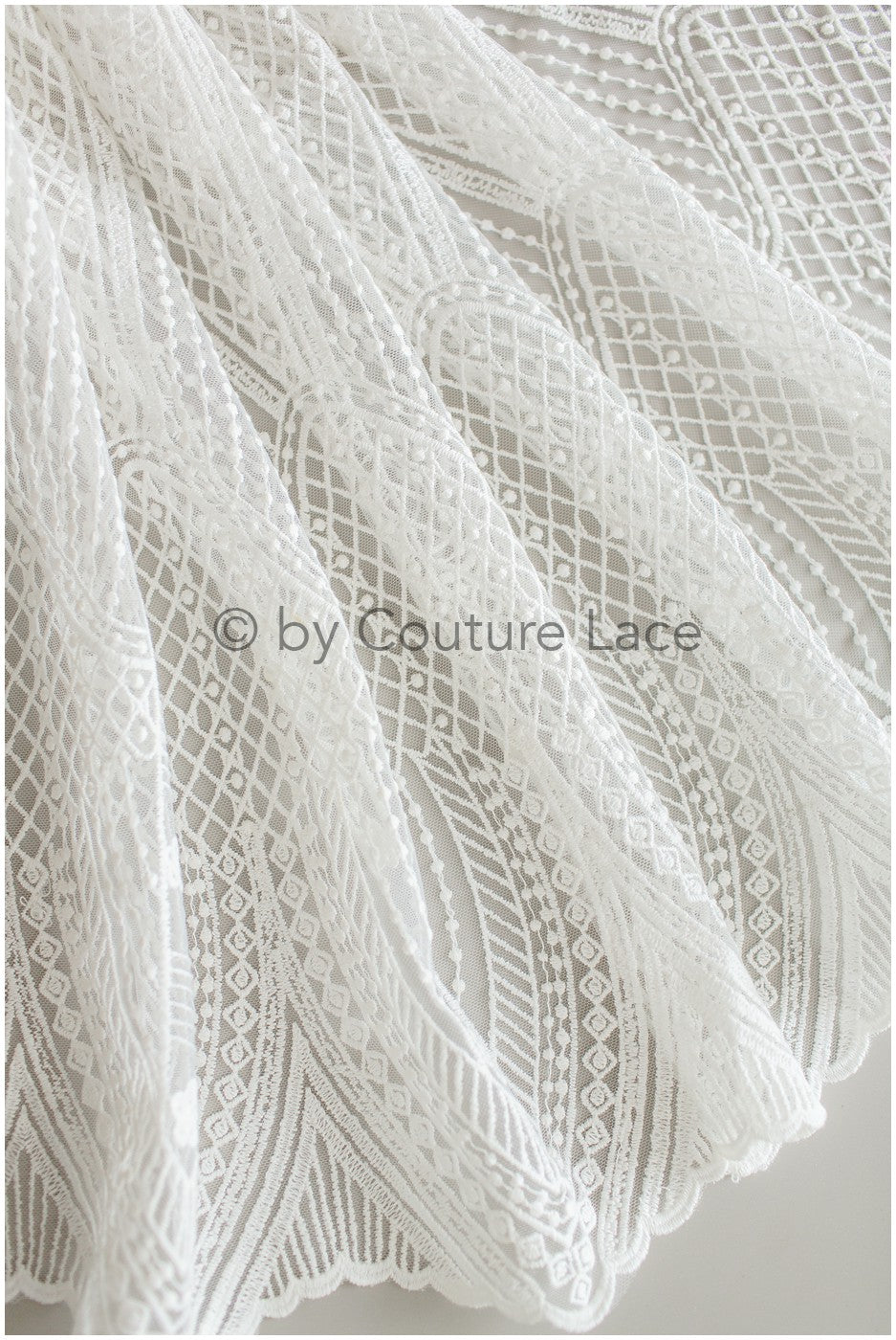 Französische florale Spitze/ Raschelspitze für die Braut/ französische Schleierspitze/ Chanitilly-Spitze für die Braut/ Boho-Spitzenstoff für die Braut // L19-247
