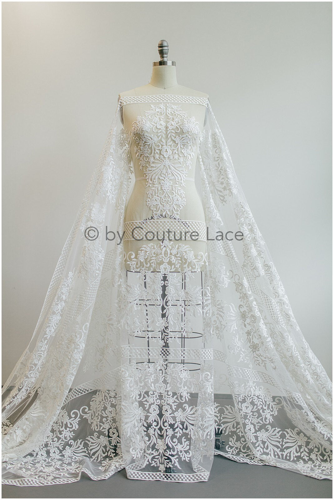 Ornament Spitze Off-White/ französischer Spitzenstoff/ bestickter Braut Spitzenstoff// L19-271