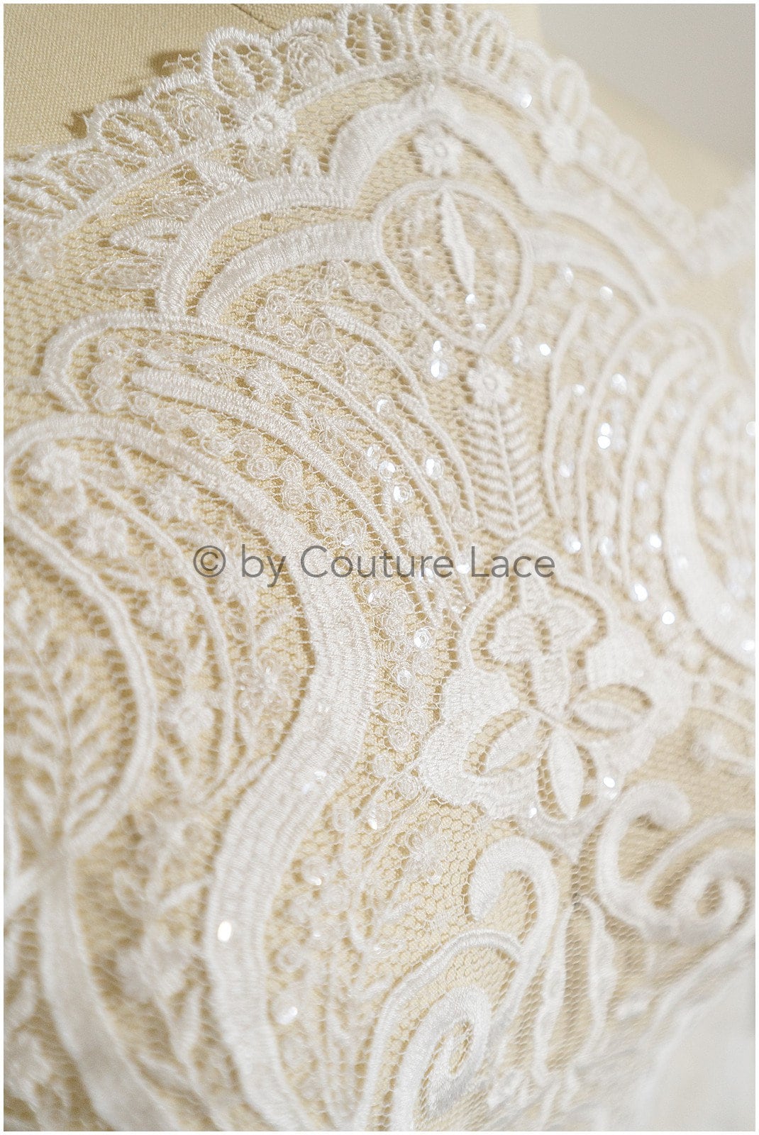 French lace fabric on dot tulle/ lace fabric/ floral lace with dots/ polka dot lace fabric/ bridal lace// L19-320