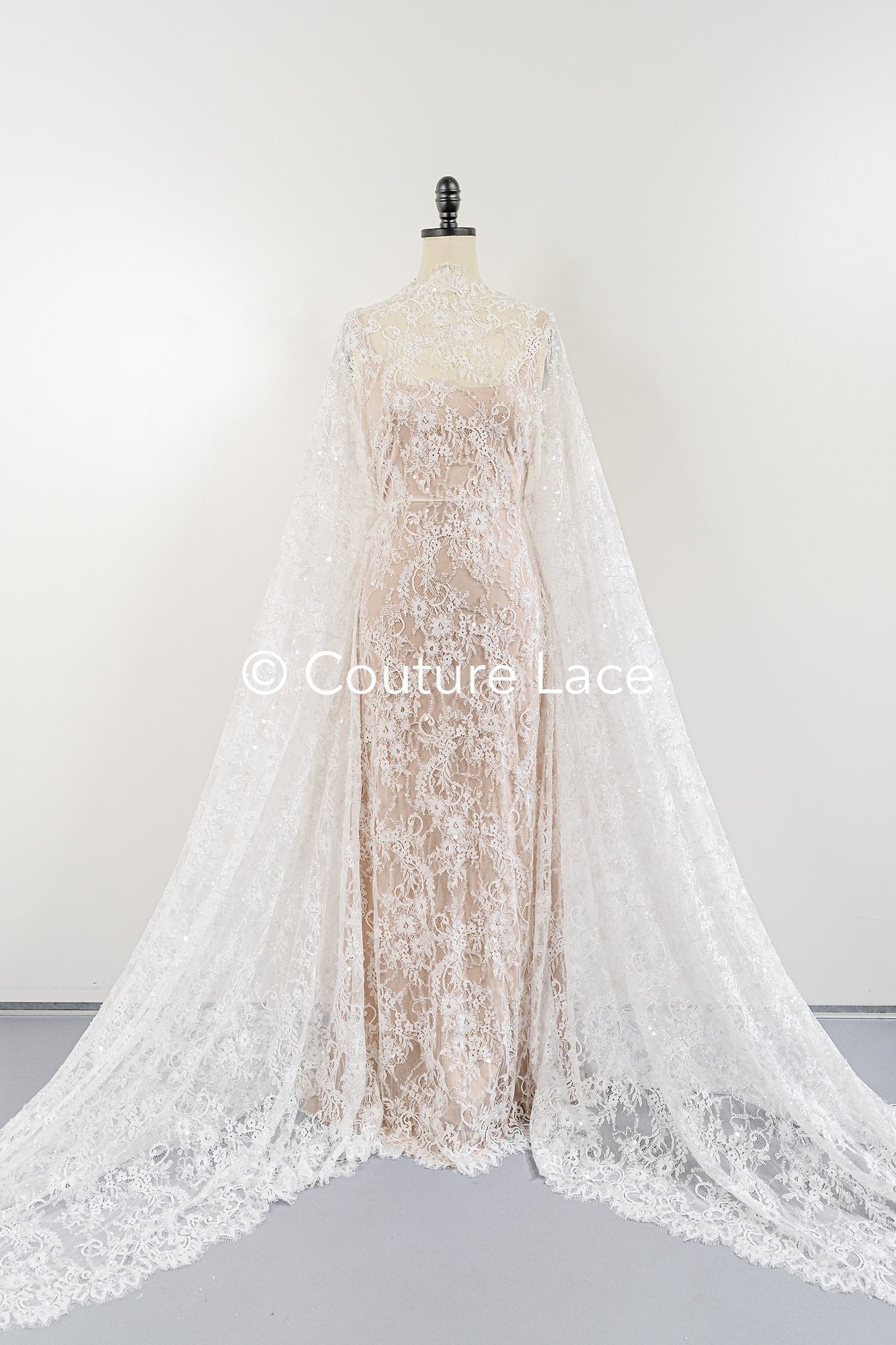 3 Meter Perlenbestickte französische Spitze/ Chantilly-Spitze mit Perlen/ Brautspitze // L25-479