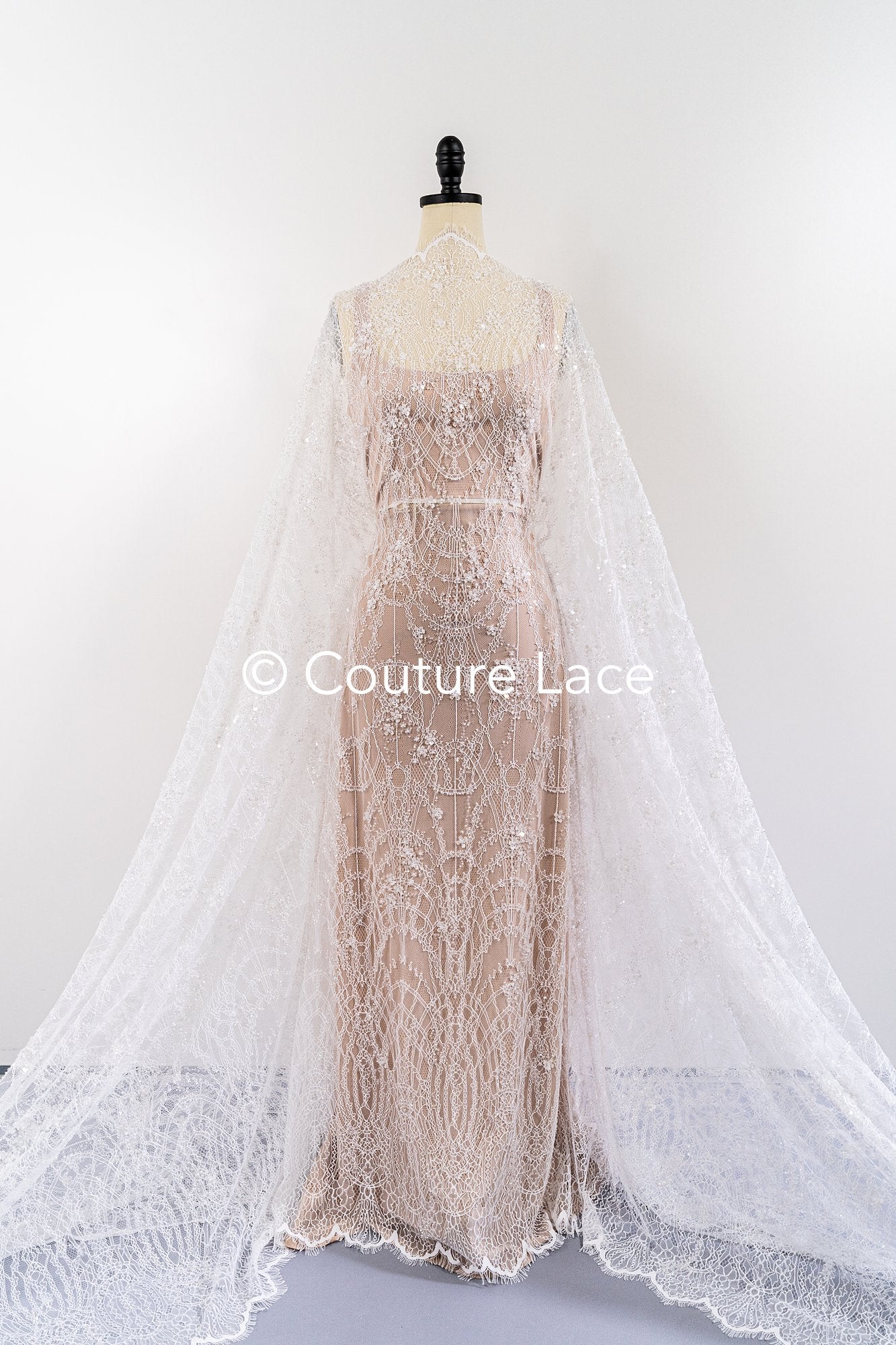 3 Meter Perlenbestickte französische Spitze/ Chantilly-Spitze mit Perlen/ Brautspitze // L25-486