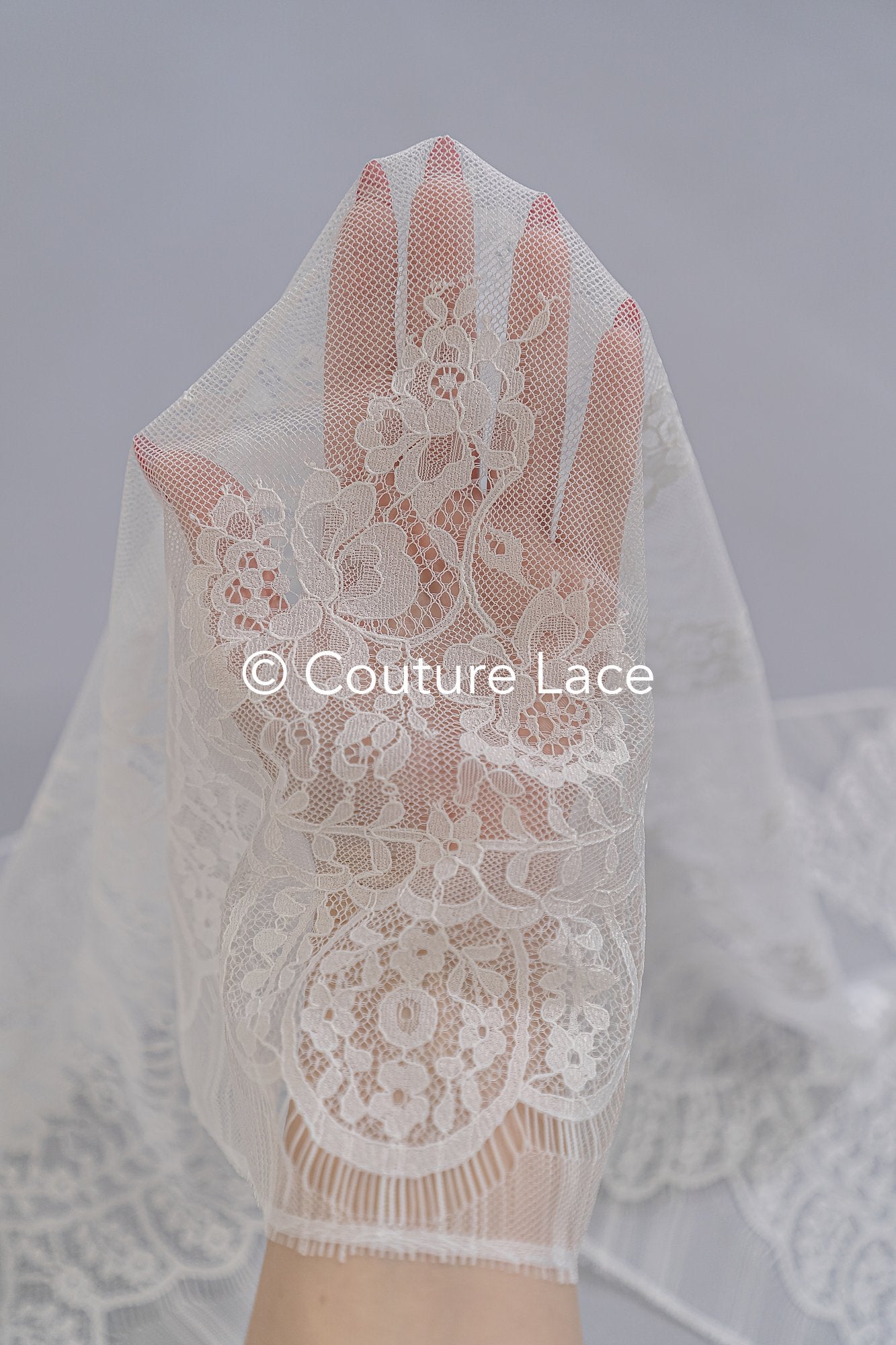 3 Meter Französische Blumen Spitze Borte/ Französische Chantilly Brautspitze Borte // T26-250