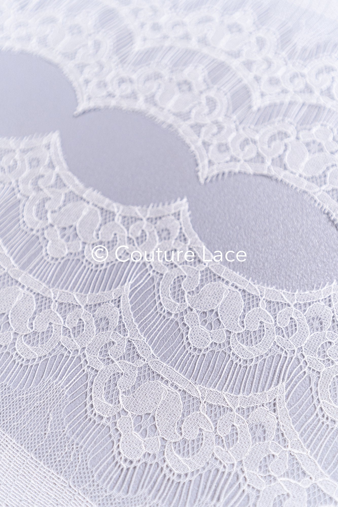 3 Meter Französische Blumen Spitze Borte/ Französische Chantilly Brautspitze Borte // T26-263B