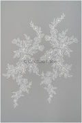 Perlen Applikationen für Brautkleid, Blumenspitzen Aufnäher, bestickte Spitzenapplikationen, kordelierte Spitzenapplikationen off-white// A21-213