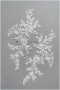 romantische Perlenblumen Spitze Aufnäher/ Baumwollblumen Applikation/ Brautkleid Spitze Applikation// A22-291