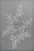 filigree wildflower lace patch/ off-white flower applique/ wedding dress lace applique/ bridal flower applique// A23-307