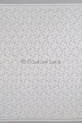 French floral lace/ bridal raschel lace/ French veil lace/ bridal chanitilly lace/ Edwardian lace fabric// L23-648