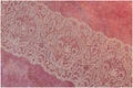 Guipure lace trim/ bridal lace trim/ wedding dress lace trim/ off-white ivory lace trim// T17-014